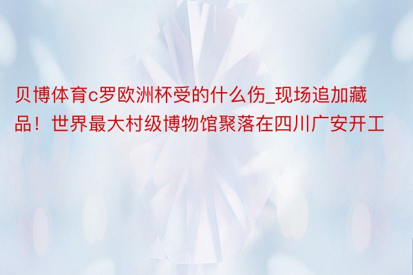 贝博体育c罗欧洲杯受的什么伤_现场追加藏品！世界最大村级博物馆聚落在四川广安开工