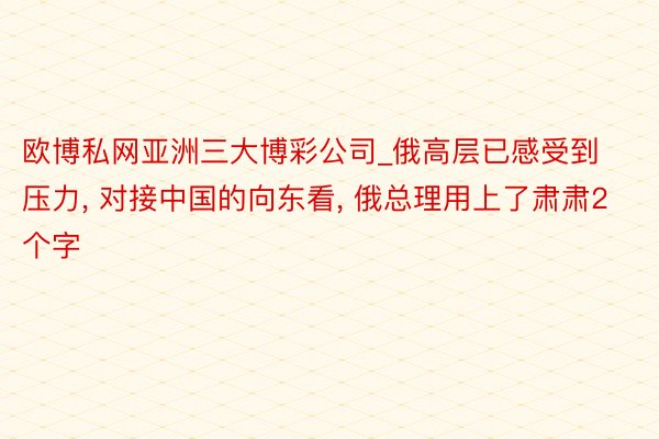 欧博私网亚洲三大博彩公司_俄高层已感受到压力, 对接中国的向东看, 俄总理用上了肃肃2个字