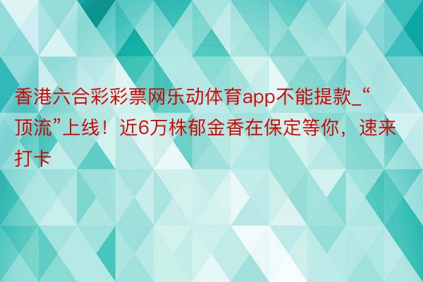 香港六合彩彩票网乐动体育app不能提款_“顶流”上线！近6万株郁金香在保定等你，速来打卡